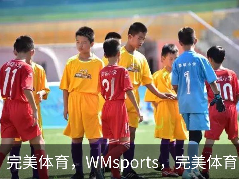 了解完美体育，WMsports，完美体育官方，完美体育平台，完美体育下载